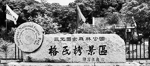 格氏栲林区被辟为j景区.jpg