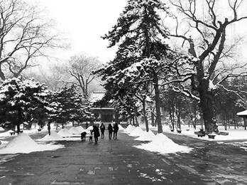 雪后晋祠.jpg