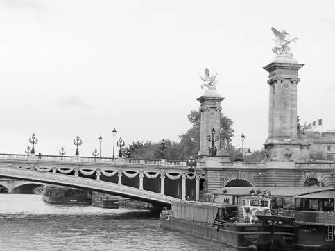 塞纳河上精美的桥.jpg