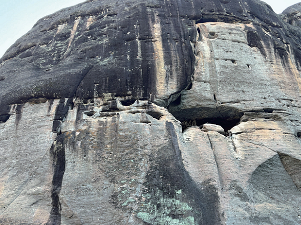 175880672715385.png 图片.png3.png