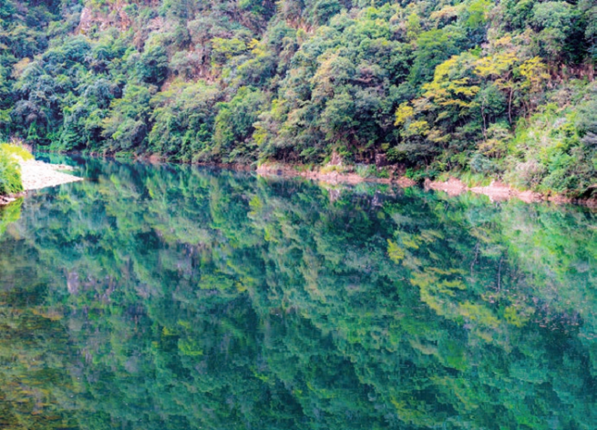 176114840224710.png 图片.png01.png