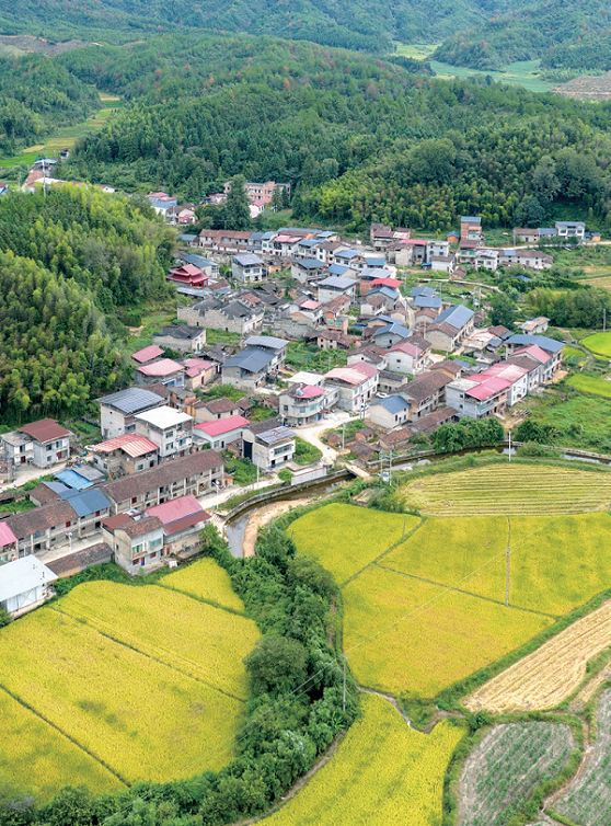 176413679745184.png 图片94.png