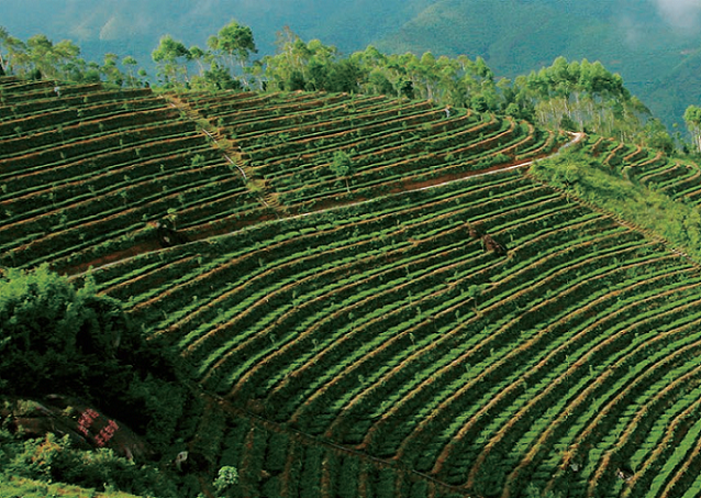 176460427062741.png 图片.png14.png