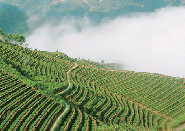 图片.png14 - 副本.png