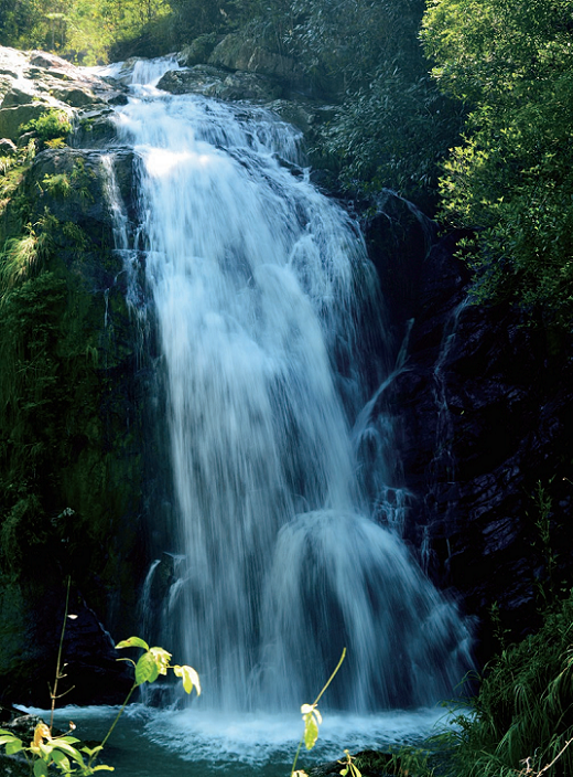 176857925822614.png 图片52.png