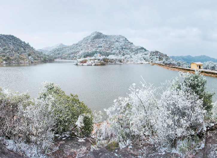 176857929718365.png 图片53.png