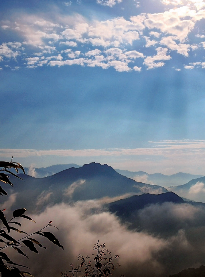 176918039213186.png 图片.png