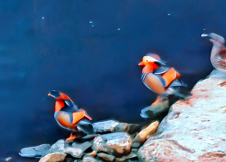 微信图片_2026-03-24_094438_665.png