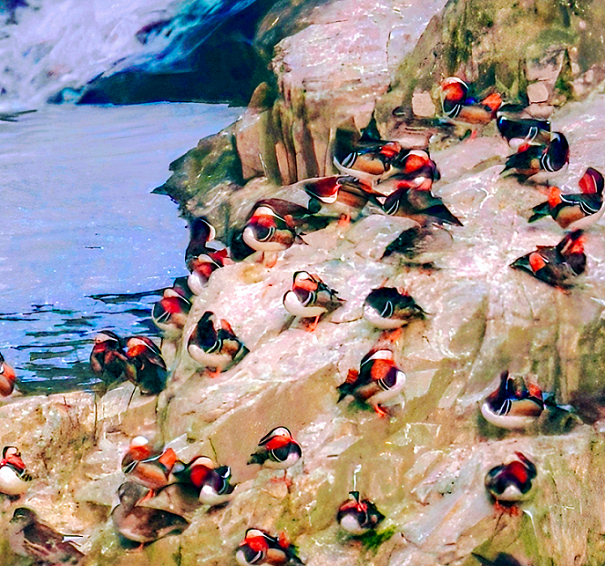 微信图片_2026-03-24_094509_008.png